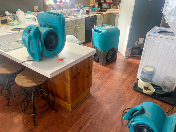Best Water damage contractors near me  in Ada, MN