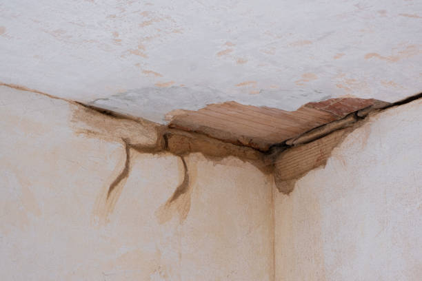 Best Water damage cleanup near me  in Ada, MN