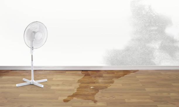 Best 24/7 water damage repair  in Ada, MN