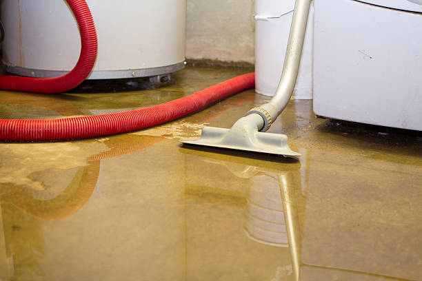 Sewage cleanup and water damage restoration in Ada, MN