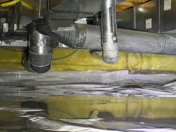 Best Mold removal after water damage  in Ada, MN