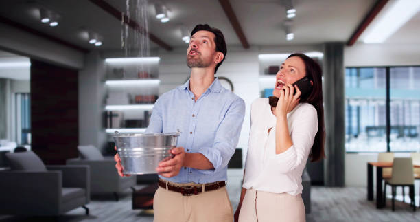 Best Water damage restoration near me  in Ada, MN