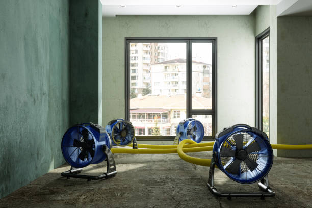 Professional Water damage restoration in Ada, MN