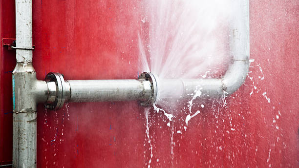 Best Local water damage restoration  in Ada, MN